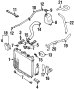 Engine Coolant Bypass Hose