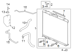 Radiator Coolant Hose (Front, Lower)