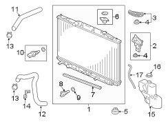 Engine Coolant Reservoir Hose