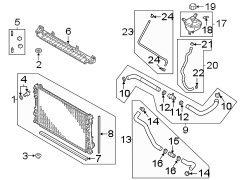 Radiator Hose Clamp (Rear, Upper, Lower)