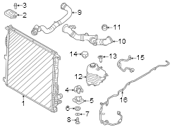 Image of Radiator Coolant Hose (Upper) image for your 2018 Land Rover Range Rover Velar   