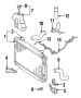 Diagram RADIATOR. for your 1981 TOYOTA PICKUP