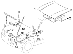 Diagram HOOD & COMPONENTS. for your 2000 TOYOTA ECHO