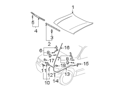 Diagram HOOD & COMPONENTS. for your 1998 TOYOTA TACOMA