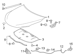 HOOD & COMPONENTS. Diagram