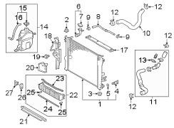 Diagram Radiator & components. for your 2019 TOYOTA COROLLA