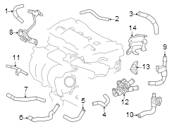 Diagram Hoses & lines. for your 2016 TOYOTA TUNDRA