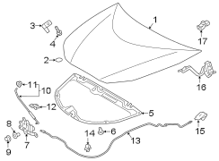 Diagram HOOD & COMPONENTS. for your 2023 TOYOTA BZ4X