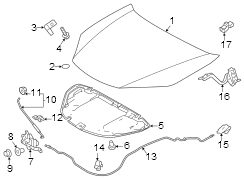 Diagram Hood & components. for your 2001 TOYOTA HIGHLANDER