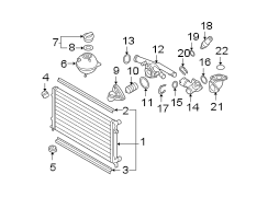 Radiator & components. (1/1)
