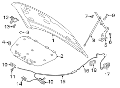 Hood Insulation Pad