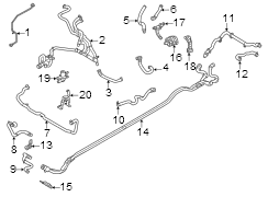 Radiator Coolant Hose