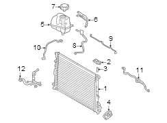 Radiator Coolant Hose