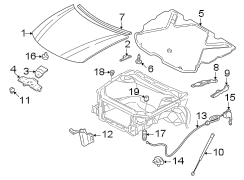 HOOD & COMPONENTS.