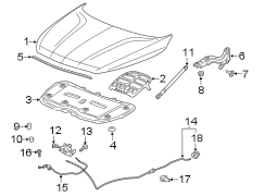 Image of Hood Seal (Front, Rear, Upper) image for your 2019 Buick Enclave    