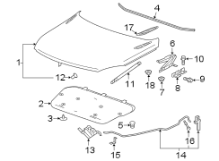 EXTERIOR TRIM. HOOD & COMPONENTS.