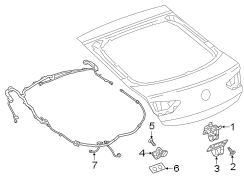 Tail Light Wiring Harness