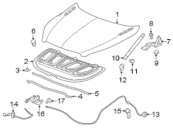 HOOD & COMPONENTS.