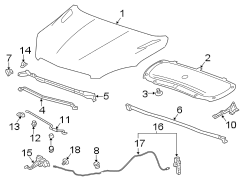 HOOD & COMPONENTS.