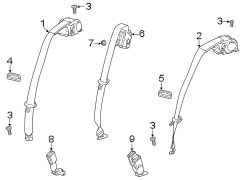 Restraint systems. Rear seat belts.