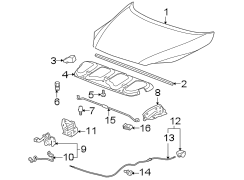 HOOD & COMPONENTS.