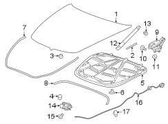 HOOD & COMPONENTS.