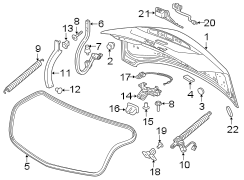 TRUNK LID. LID & COMPONENTS.