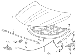 HOOD & COMPONENTS.