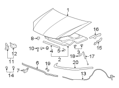 HOOD & COMPONENTS.