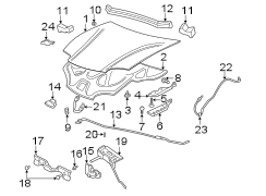 HOOD & COMPONENTS.