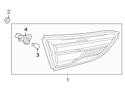 Back Up Light Assembly