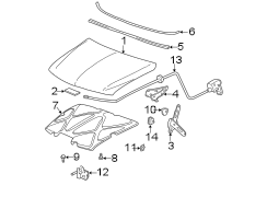 HOOD & COMPONENTS.