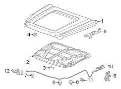 Hood & components.