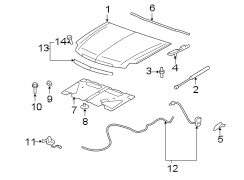 EXTERIOR TRIM. HOOD & COMPONENTS.