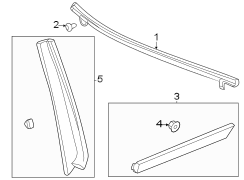 Door Belt Molding (Rear)