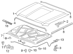 HOOD & COMPONENTS.