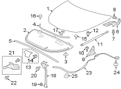 HOOD & COMPONENTS.