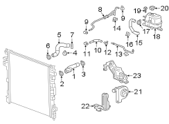 Engine Coolant Overflow Hose