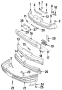 License bracket nut. NUT - PUSH IN. 