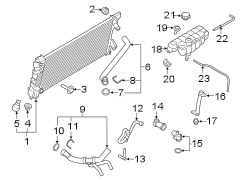 Image of Engine Coolant Hose image for your Ford F-150  