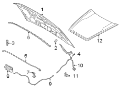 Image of Hood Hinge image for your 2011 Ford F-150 5.0L V8 FLEX A/T 4WD Lariat Extended Cab Pickup Fleetside 