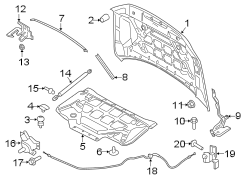 Image of Hood Hinge image for your 2016 Ford F-150 5.0L V8 FLEX A/T RWD XLT Crew Cab Pickup Fleetside 