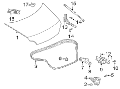 Trunk lid. Exterior trim. Lid & components.