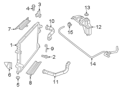 Radiator & components.