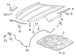 HOOD & COMPONENTS.