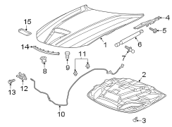 HOOD & COMPONENTS.