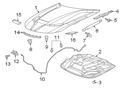 HOOD & COMPONENTS.