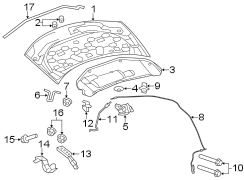 HOOD & COMPONENTS.