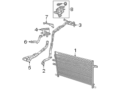 Radiator Coolant Hose