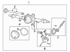 Drive Axle Assembly (Rear)